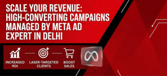 Meta Ad Expert in Delhi